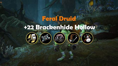 Brackenhide Hollow 22 Feral Druid 183k DF Season 2 YouTube