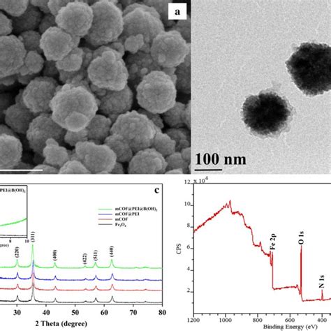 A SEM Image Of MCOF PEI B OH 2 B TEM Image Of MCOF PEI B OH 2 C