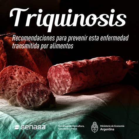 Prevenir La Triquinosis Para Evitar Riesgos Y Cuidar La Salud De Los