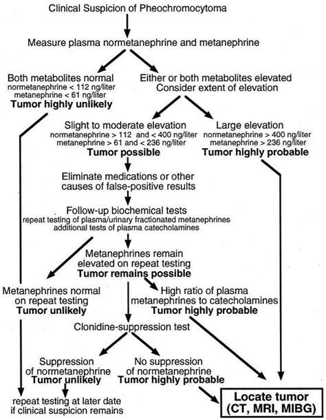 Diagnosis: Pheochromocytoma Diagnosis