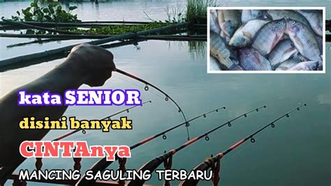 Kata Senior Disini Banyak Cintanya Mancing Saguling Terbaru Youtube