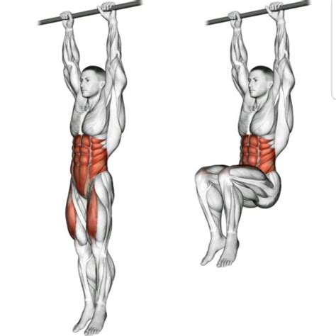 Hanging Knee Raise By Beyond Conditioning Exercise How To Skimble