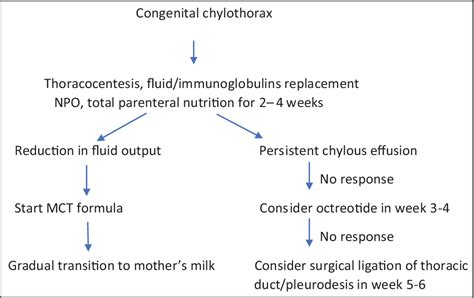 Figure From Successful Management Of Congenital Chylothorax In