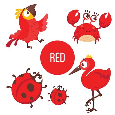 Premium Vector | Red animals: parrot, crab, lady bug, bird.