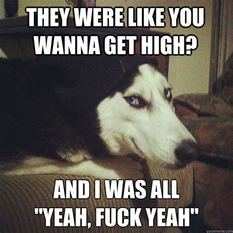 They Were Like You Wanna Get High And I Was All Yeah Fuck Yeah Yeah Fuck Yeah Quickmeme