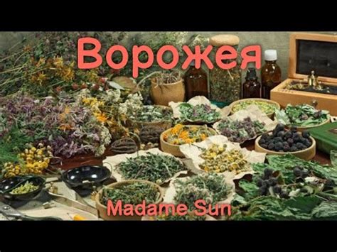 Всё о травах, сбор лечебных трав. Магическая энциклопедия. Рубрика ...