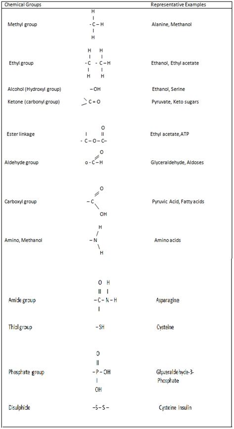 Functional Groups Assignment Help Homework Help Online Live Tutoring Help