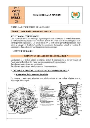 Devoir Maison Svt Seconde Ventana Blog