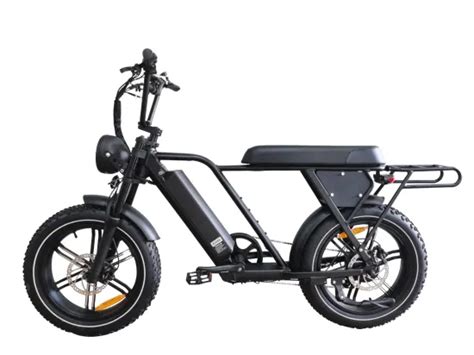 Queene 2022 Full Suspension High Speed Dual Motor Electric Fat Tire