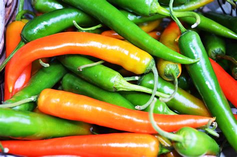 Orange And Green Peppers Chili Free Stock Photo Public Domain Pictures