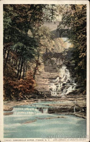 Cascadilla Gorge Ithaca NY Postcard