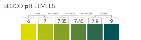 Qual O Ph Do Sangue - Faixa de ph do sangue humano. gráfico e escala de ilustração médica ...
