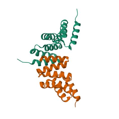 RCSB PDB 8YE5 Structural And Functional Research Of Reductive