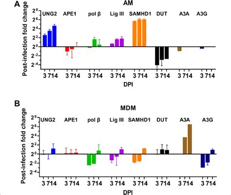 Uber Gene Expression In Am And Mdm Post Infection With Hiv Bal A