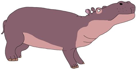 Nile Hippopotamus | Zoo Venture Wiki | Fandom