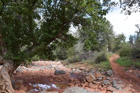 Sedona Hike Dry Creek Trails Near Devils Bridge Photos