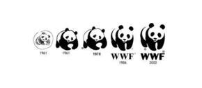 Giant Panda Species WWF