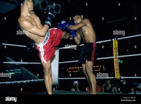 Knockout Kickboxen Muay Thai Fotos Und Bildmaterial In Hoher