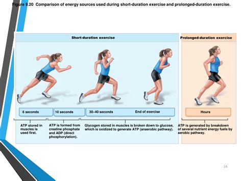 Ppt Physical And Psychological Factors Affecting Sport Performance