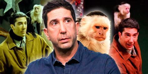 Friends: David Schwimmer Was Jealous of His Monkey Co-Star, Trainer Says