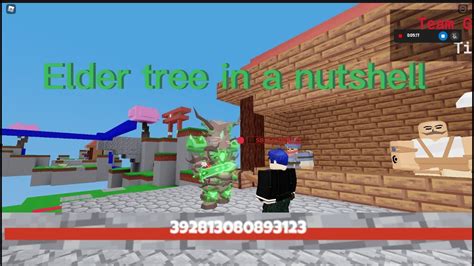 Elder Tree In A Nutshell In Roblox Bedwars YouTube