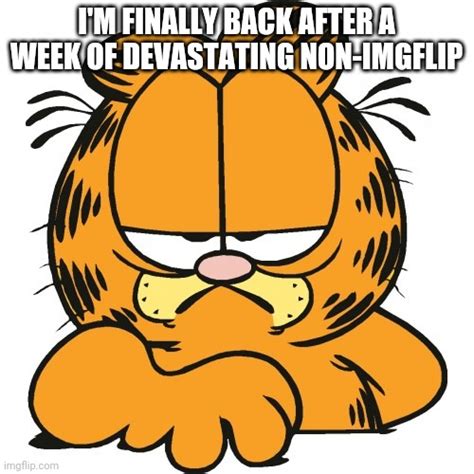 Garfield Memes - Imgflip