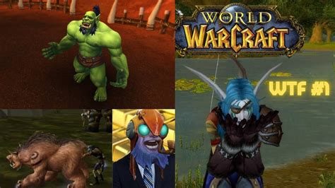 World Of Warcraft Wtf Moments Funny Epic And Wtf World Of