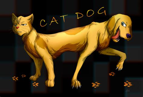 Catdog By Marshcold On Deviantart