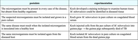 Chp 1 Evolution Of Microorganisms Microbiology Flashcards Quizlet