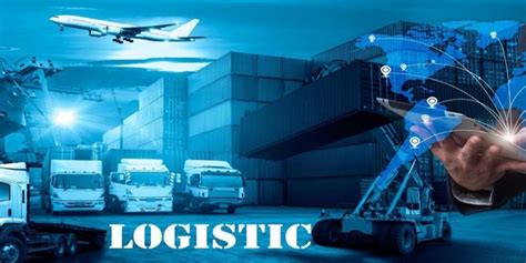 Việt Nam có bao nhiêu doanh nghiệp tham gia ngành logistics và quản lý