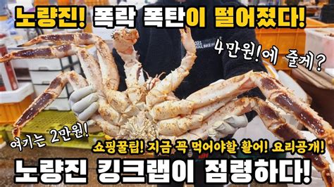 노량진수산시장폭락 폭탄 킹크랩점령 2만원 4만원 뭔일 쇼핑꿀팁 먹어야할 활어 요리공개 노량진수산시장 수산시장