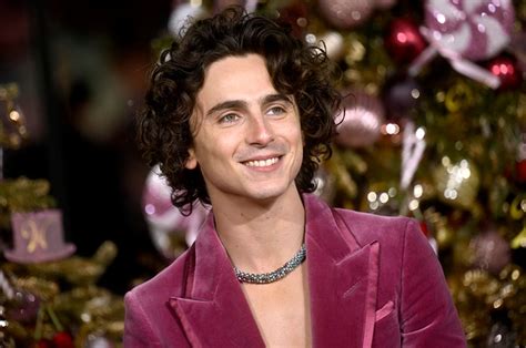 Las Mejores Películas De Timothée Chalamet En Streaming