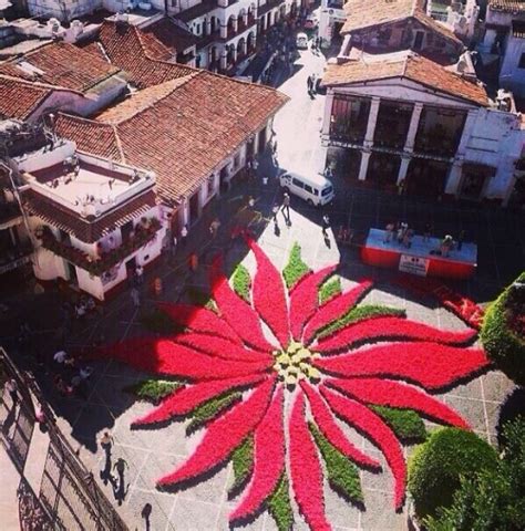 an aerial view of a city with lots of buildings and a large red flower on the ground