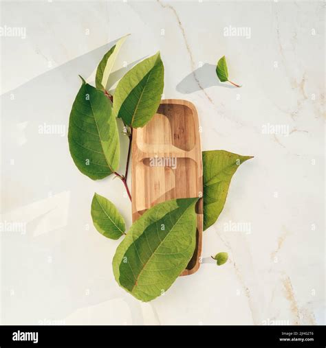 Empty Rectangular Wooden Stand On Marble Background With Natural Green