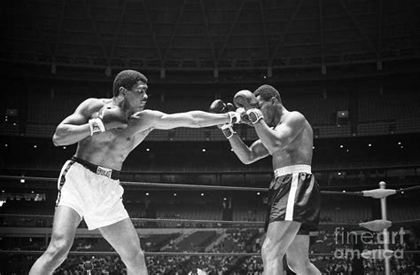 Ernie Terrell And Thad Spencer Boxing By Bettmann