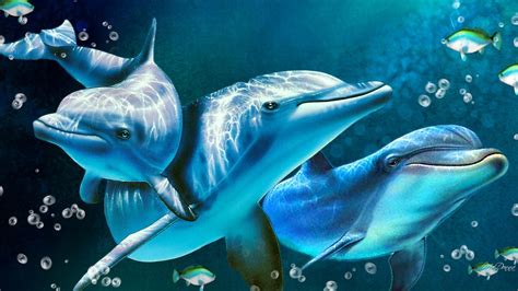 Delightful Dolphins Hd Desktop Wallpaper Widescreen High Definition
