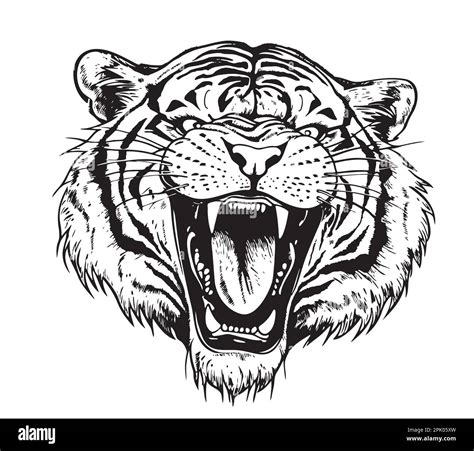 Head Of A Roaring Tiger Hand Drawn Sketch In Doodle Style Illustration