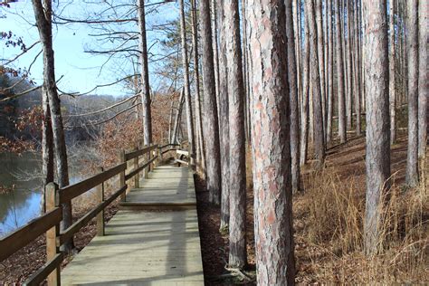 Strahl Lake Trail Brown County State Park Nashville Indiana R Hiking