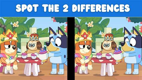 Spot The Difference Bluey Youtube