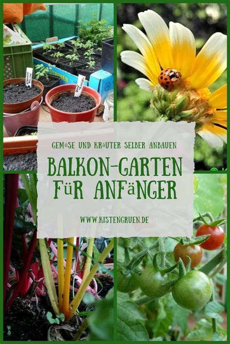 Balkongarten Anlegen F R Anf Nger Tricks Zum Anbau Von Gem Se Und