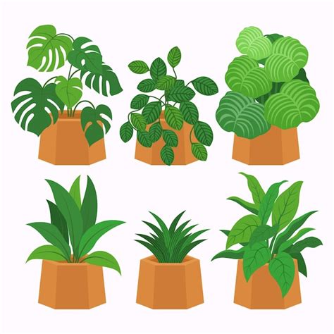 Vectores E Ilustraciones De Plantas Animadas Para Descargar Gratis