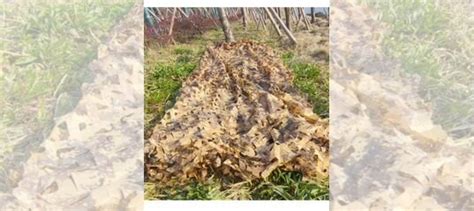Маскировочная сеть для охоты 1.5*10м купить в Красноярске | Хобби и ...