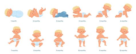 Baby growth stages, development process from newborn to toddler. Baby ...