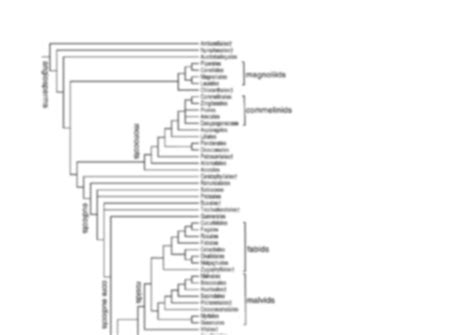 Solution Angiosperm Phylogeny Group Iv Studypool