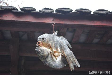 年年有魚，打漁之家的乾魚也成靚麗風景 每日頭條