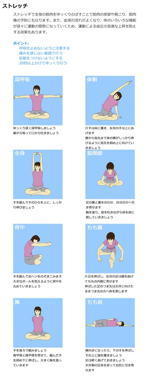 ストレッチ｜運動について｜ヘルスケア事業｜メディカル指南車