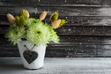 flowers, flowerpot, plants, closeup | 2560x1703 Wallpaper - wallhaven.cc