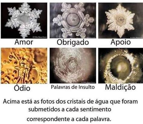 Masaru Emoto e a experiência do poder das palavras Duna Press