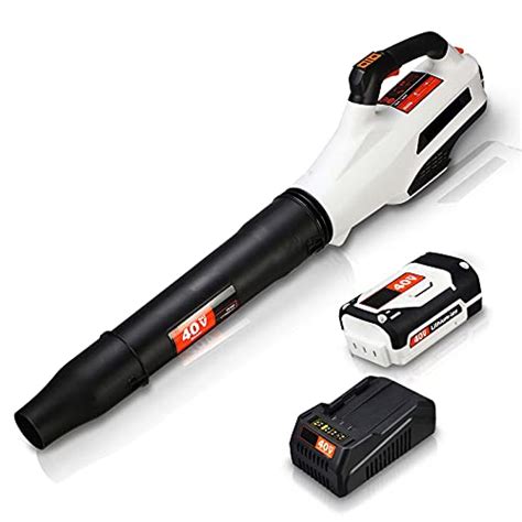 The Best Rechargeable Leaf Blowers Of 2022 More Happawness