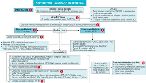 Algoritmo Soporte Vital Avanzado Pediatría SEUP